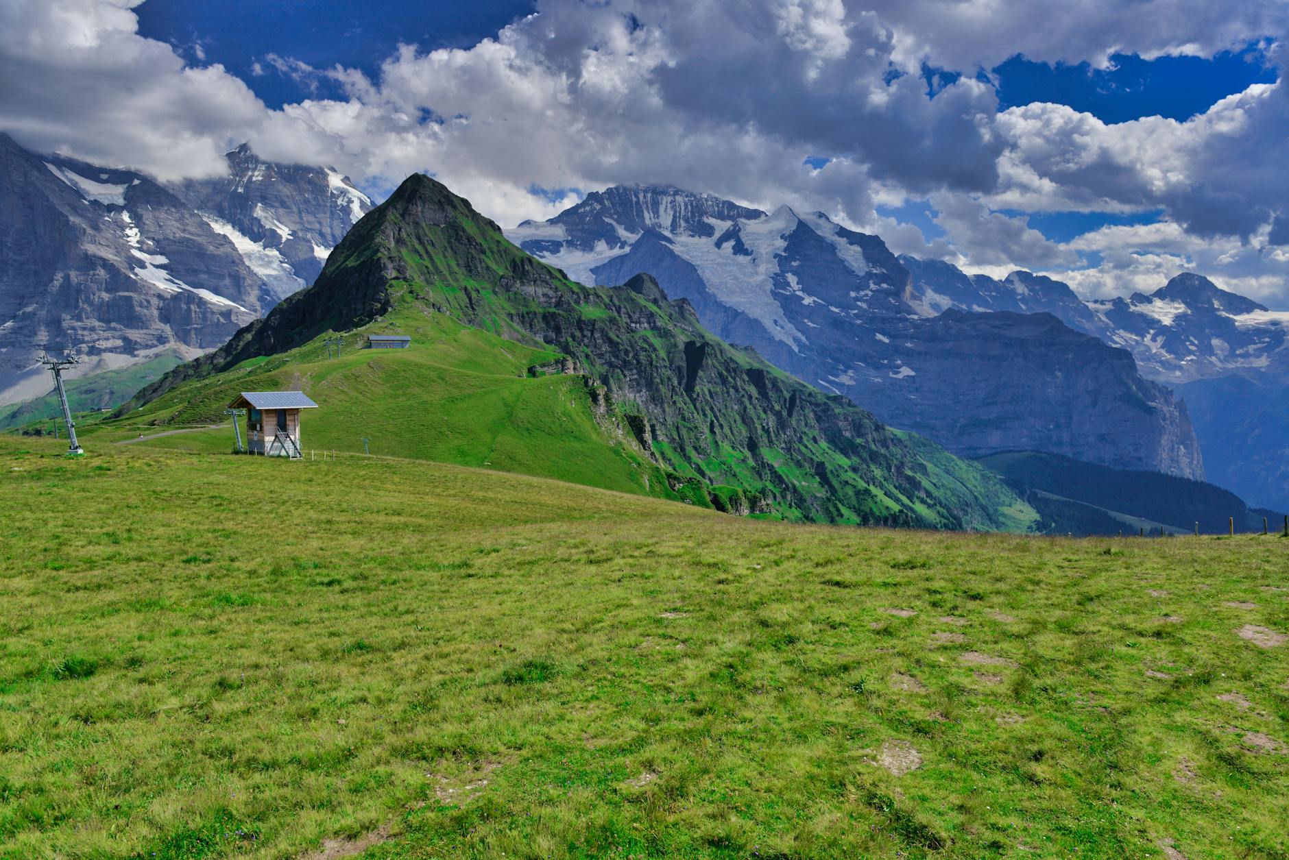 Letnie alpejskie łąki Grindelwaldu z ośnieżonymi szczytami w tle