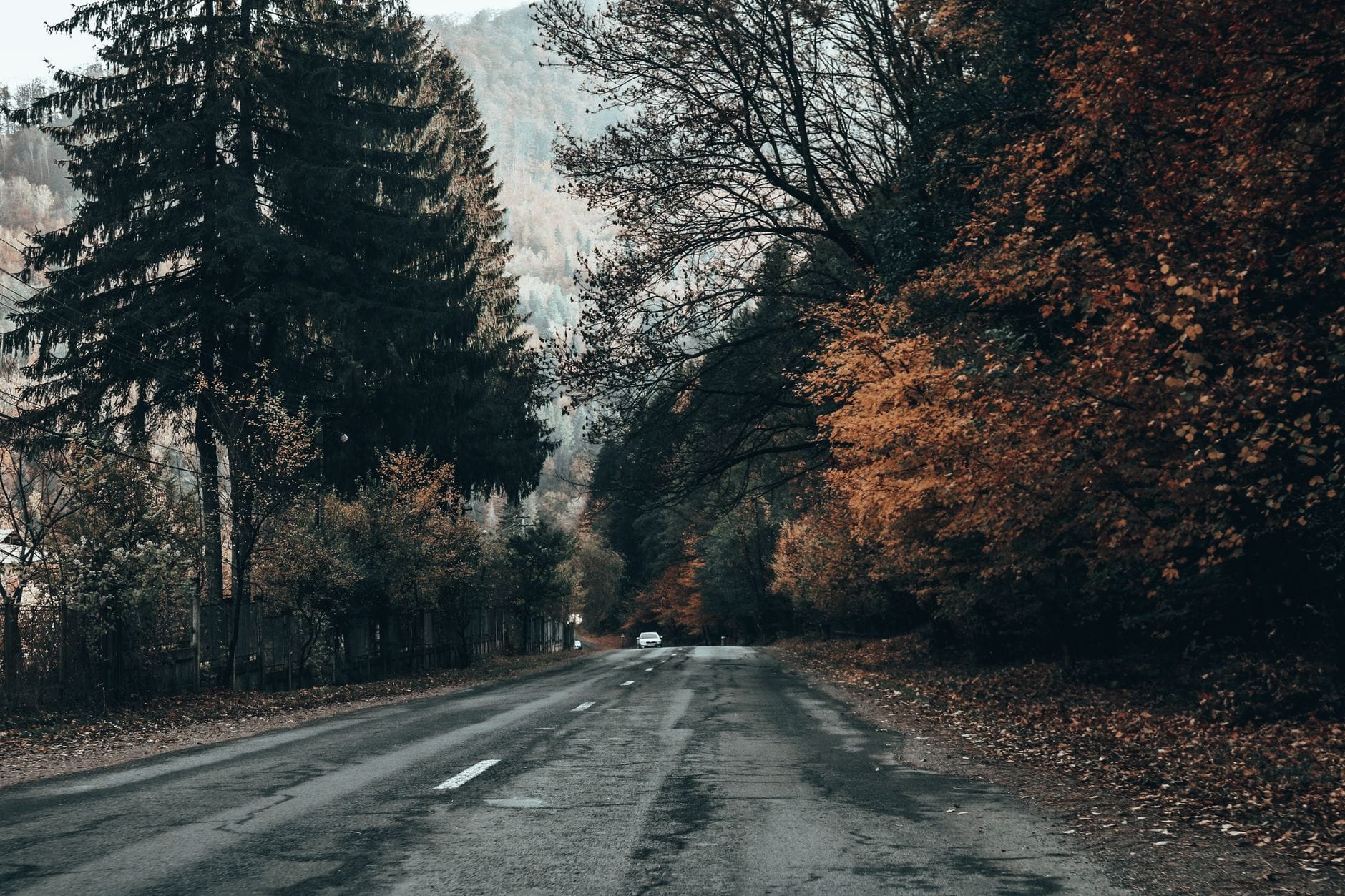 Jesienna droga wśród gęstych lasów Rumunii